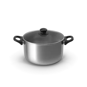 Stainless Saucepan Set